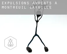 Expulsions avocats à  Montreuil-l'Argillé