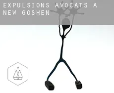 Expulsions avocats à  New Goshen