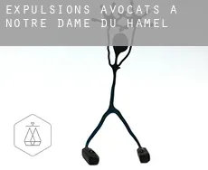Expulsions avocats à  Notre-Dame-du-Hamel