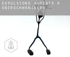 Expulsions avocats à  Oberschwaningen