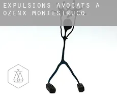 Expulsions avocats à Ozenx-Montestrucq