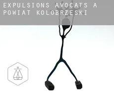 Expulsions avocats à  Powiat kołobrzeski