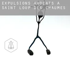 Expulsions avocats à  Saint-Loup-des-Chaumes