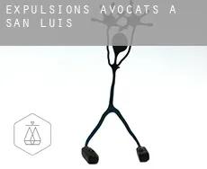 Expulsions avocats à  San Luis