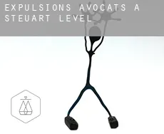 Expulsions avocats à  Steuart Level
