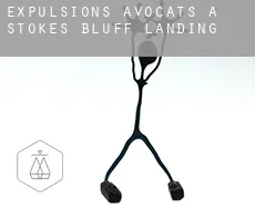 Expulsions avocats à Stokes Bluff Landing
