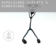 Expulsions avocats à  Sunnyridge