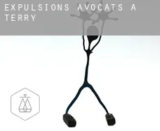 Expulsions avocats à Terry