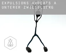 Expulsions avocats à  Unterer Zwieselberg
