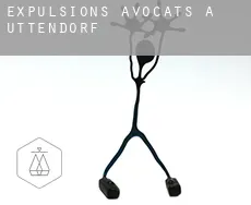 Expulsions avocats à Uttendorf