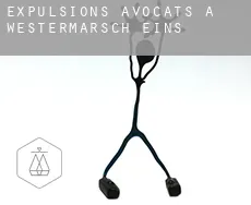 Expulsions avocats à  Westermarsch Eins