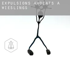Expulsions avocats à  Wieslings