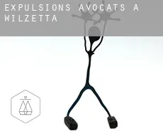 Expulsions avocats à  Wilzetta