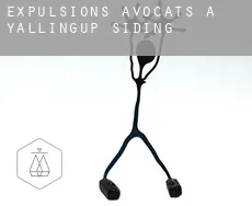 Expulsions avocats à Yallingup Siding