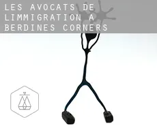 Les avocats de l'immigration à  Berdines Corners