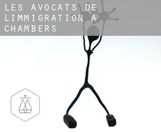 Les avocats de l'immigration à  Chambers