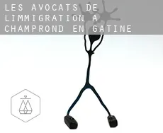 Les avocats de l'immigration à Champrond-en-Gâtine