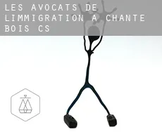Les avocats de l'immigration à  Chante-Bois (census area)