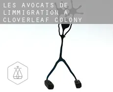 Les avocats de l'immigration à Cloverleaf Colony