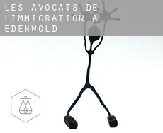 Les avocats de l'immigration à Edenwold