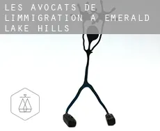 Les avocats de l'immigration à  Emerald Lake Hills