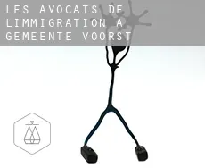 Les avocats de l'immigration à  Gemeente Voorst