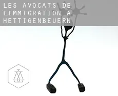 Les avocats de l'immigration à  Hettigenbeuern
