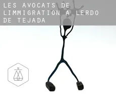 Les avocats de l'immigration à  Lerdo de Tejada