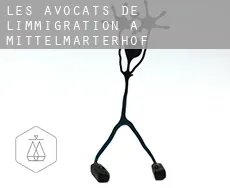 Les avocats de l'immigration à Mittelmarterhof