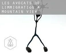 Les avocats de l'immigration à Mountain View