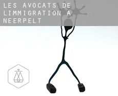 Les avocats de l'immigration à  Neerpelt