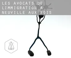 Les avocats de l'immigration à Neuville-aux-Bois