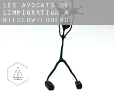 Les avocats de l'immigration à  Niederwildberg
