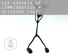 Les avocats de l'immigration à Octararo Lakes