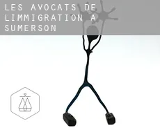 Les avocats de l'immigration à Sumerson