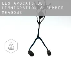 Les avocats de l'immigration à  Summer Meadows