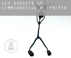 Les avocats de l'immigration à  Taripta