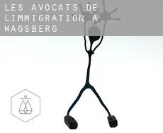 Les avocats de l'immigration à  Wagsberg
