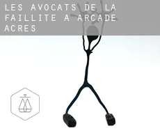 Les avocats de la faillite à  Arcade Acres