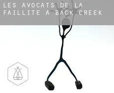 Les avocats de la faillite à Back Creek