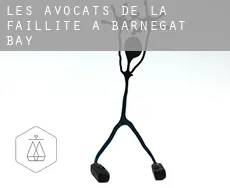 Les avocats de la faillite à  Barnegat Bay