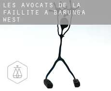 Les avocats de la faillite à  Barunga West