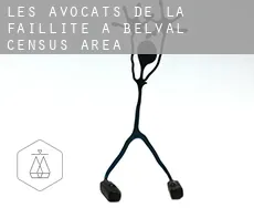 Les avocats de la faillite à  Belval (census area)