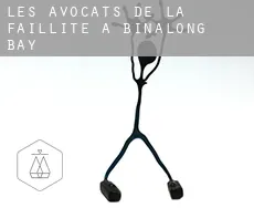 Les avocats de la faillite à  Binalong Bay