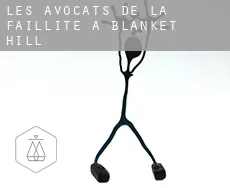Les avocats de la faillite à  Blanket Hill