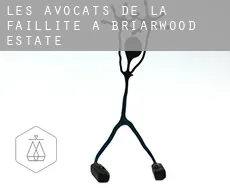 Les avocats de la faillite à  Briarwood Estate