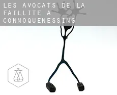 Les avocats de la faillite à  Connoquenessing