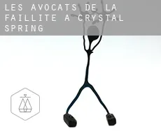 Les avocats de la faillite à  Crystal Spring