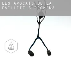 Les avocats de la faillite à  Dromana