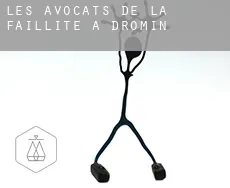 Les avocats de la faillite à  Dromin